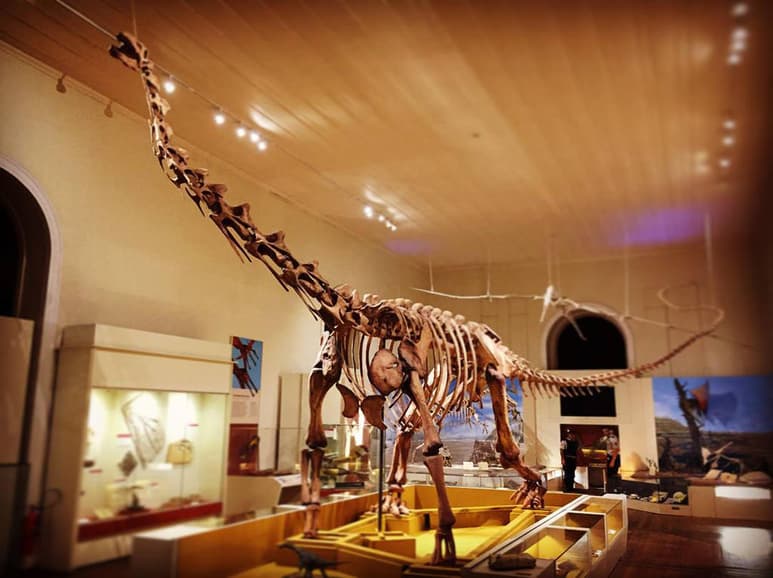 Un incendio de causas desconocidas destruyó este lunes parte de tres salas de la reserva técnica del Museo de Historia Natural de la Universidad Federal de Minas Gerais, en la ciudad brasileña de Belo Horizonte. (ARCHIVO) 