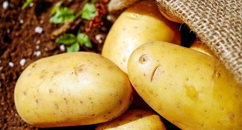 Las papas son unas de ellas. (INTERNET)