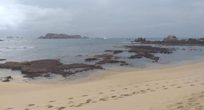 Tras el sismo registrado esta mañana en la Ciudad de México, se emitió una alerta por parte de la NOAA ante un posible tsunami que podría llegar a las costas del Pacífico (CAPTURA)