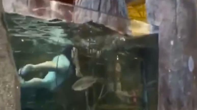 La policía de Luisiana logra capturar a un hombre que fue grabado en video nadando en una pecera en una tienda de artículos deportivos. (ESPECIAL)