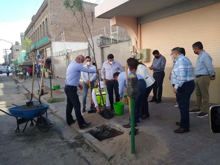 Se llevará a cabo la plantación de 900 árboles nativos de la región, de los cuales 450 son huizaches y el resto mezquites. (EL SIGLO DE TORREÓN)