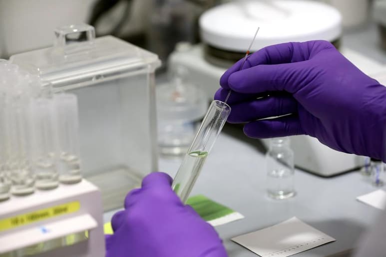 La Federación Rusa ofreció este viernes a diversos representantes de entidades sanitarias, agencias y especialistas de Latinoamérica un medicamento denominado Avifavir para combatir a la COVID-19 y curarla en un período de entre cuatro y diez días. (ARCHIVO)
