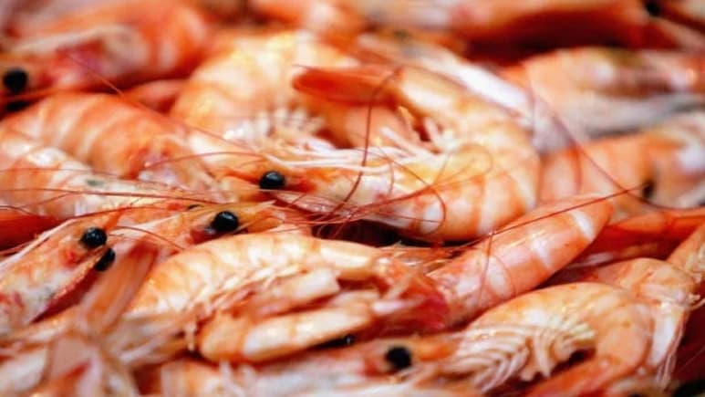 Según asegura Juan Carlos Zevallos, titular de Salud Pública, 'no existe evidencia científica que compruebe que el virus se propague en los alimentos y menos que sobreviva en camarones que han viajado 50 días a una temperatura de -20 grados' (ESPECIAL)