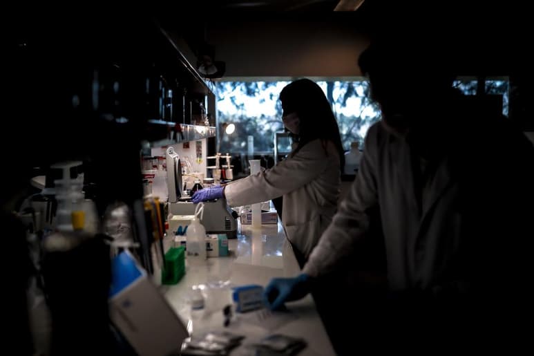 Ante la insuficiencia de los químicos requeridos para la producción de test masivos que detectan el Covid-19, un grupo de científicos propone la aplicación de pruebas grupales. (ARCHIVO)