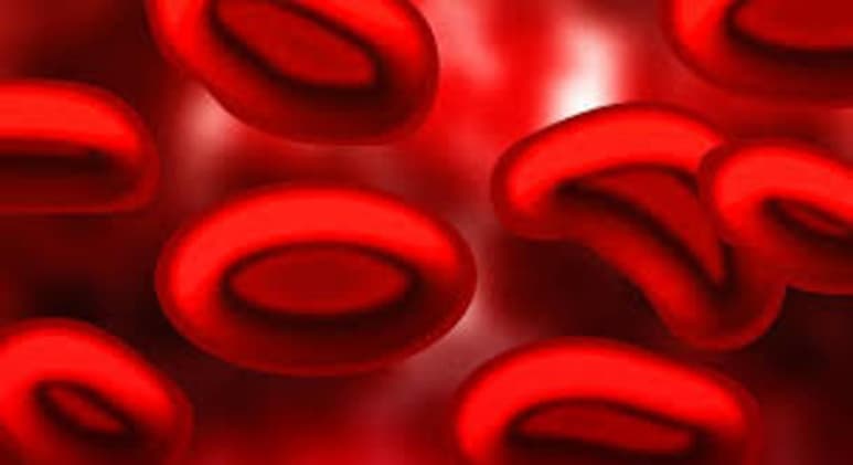 Un grupo de investigadores de la universidad de Harvard ha desarrollado una tecnología que emplea glóbulos rojos para generar una respuesta inmune mediante el envío de antígenos a las células presentadoras de antígeno, una técnica que ha acabado con tumores en ratones y que podría emplearse en vacunas en un futuro. (ESPECIAL)