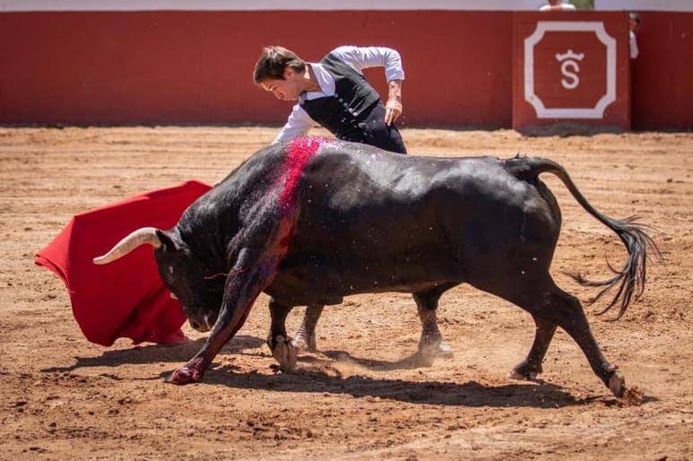 El joven lagunero ha tenido oportunidad de torear alrededor de 30 toros en tentaderos mexicanos. (ESPECIAL)