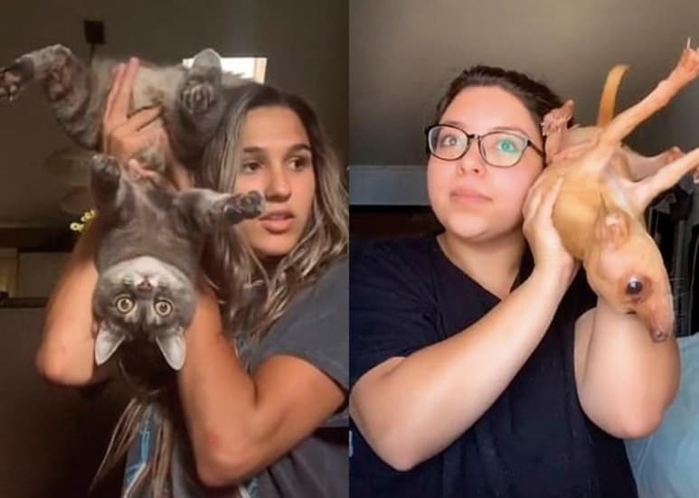 Estos videos han sido reproducidos millones de veces, preocupando por su posible recreación por cientos de usuarios de diferentes partes del mundo. (TIK TOK)