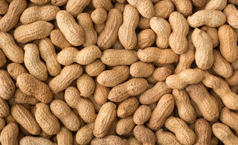 100 gramos de cacahuates contienen 25.8 gramos de proteína, 16 gramos de carbohidratos, 8.5 gramos de azúcar, grasas saludables, vitaminas del complejo B, vitamina E, minerales como el potasio, fósforo, magnesio, calcio, sodio, hierro y zinc. (INTERNET)
