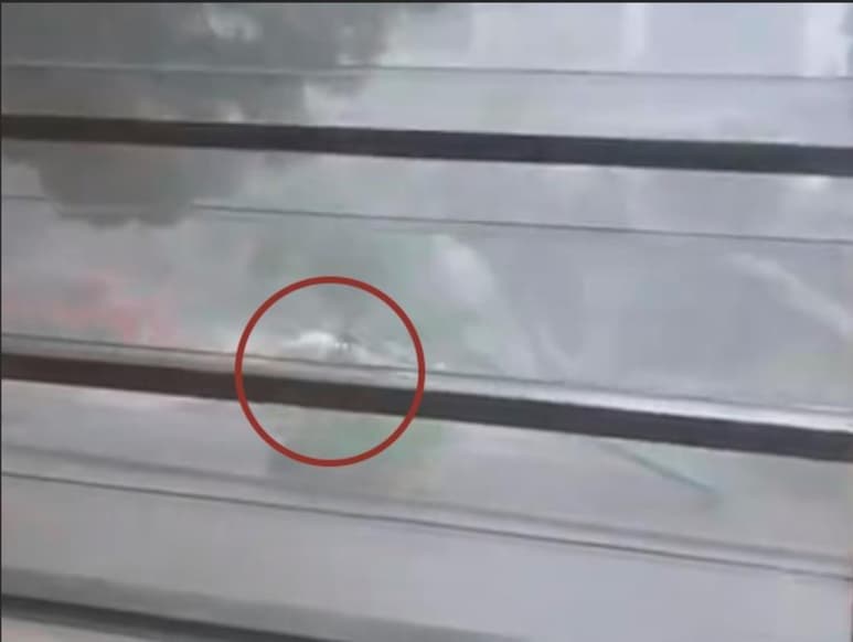 Aunque se desconoce si el conductor resultó herido por el gran golpe que recibió, el video fue compartido por varios canales de noticias de la misma red social. (TWITTER)
