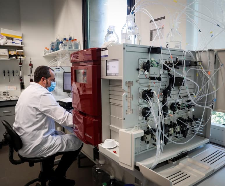 Algunos de los prototipos españoles a vacuna contra la COVID-19 se encuentran ahora inmersos en los experimentos con animales y, si los resultados son positivos, varios grupos podrían pedir en diciembre a la Agencia Española de Medicamentos permiso para comenzar los ensayos clínicos en humanos. (ARCHIVO)