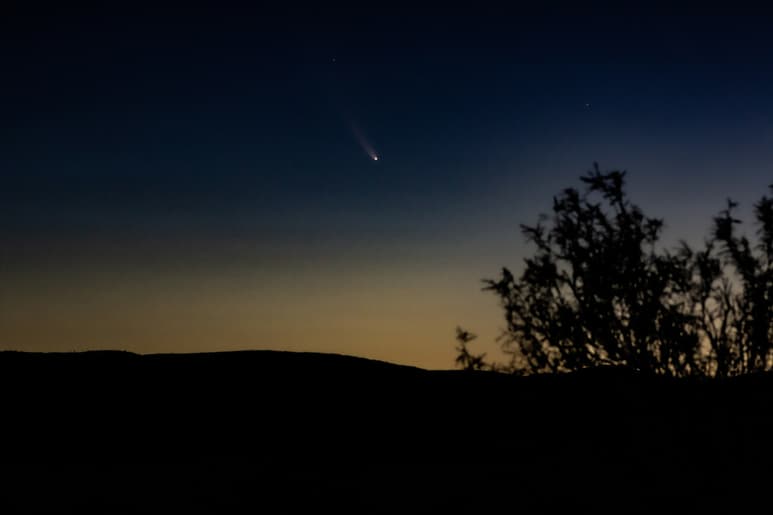 MILENARIO. Este cometa se presenta cada seis mil 600 años. (CORTESÍA / Grupo Astronómico Gómez Palacio)
