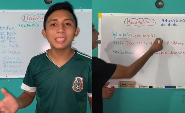 Con conceptos básicos, el joven intenta enseñar la lengua maya a sus seguidores apoyado de un pintarrón (@TUZSANTOS322)