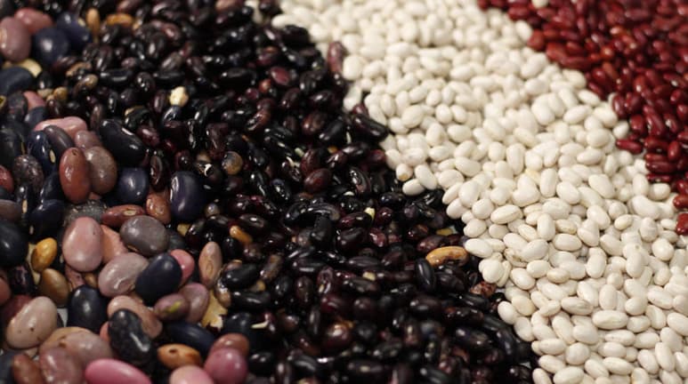 Según la base de datos Nutrition Data, este alimento es rico en vitaminas C, E, K, minerales como el calcio, hierro, magnesio, fósforo, potasio, sodio, zinc y otros compuestos como ácido fólico, fibra, grasas monoinsaturadas y Omega 3 y 6. (INTERNET)
