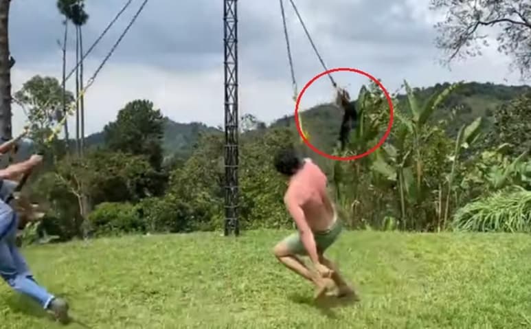 El video se ha viralizado en redes sociales (CAPTURA)