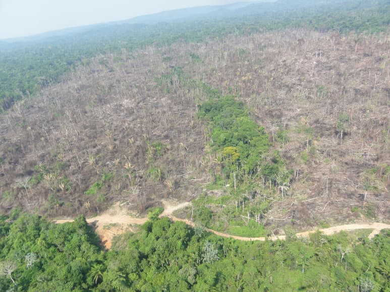 La Amazonía brasileña, que alberga el mayor bosque tropical del mundo, está en camino de cerrar 2020 con un récord de área devastada. (ARCHIVO)