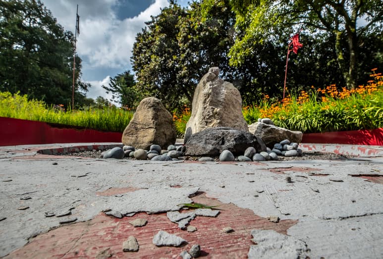 Según el nuevo Plan Maestro, se abrirá un nuevo jardín botánico en la Segunda Sección. (AGENCIAS)