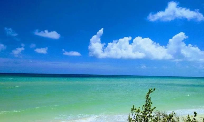 Yucatán es reconocido por sus hermosos destinos turísticos pero, ¿habías escuchado de Sisal? Es un puerto ubicado al noroeste del estado en el municipio de Hunucmá, y ofrece una gran cantidad de atractivos poco conocidos. (INTERNET)