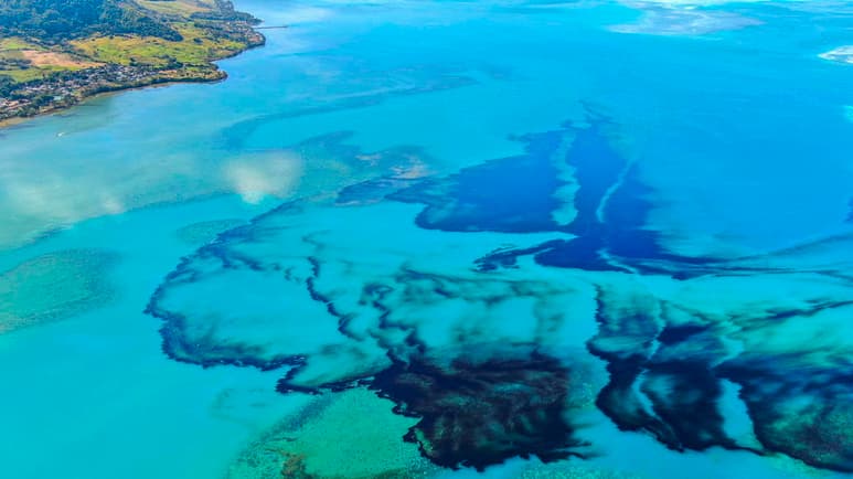 El derrame se concentraba en el sureste, donde permanece encallado el granelero MV Wakashio desde el pasado 25 de julio, justo enfrente de la zona denominada Pointe d'Esny. (EFE)