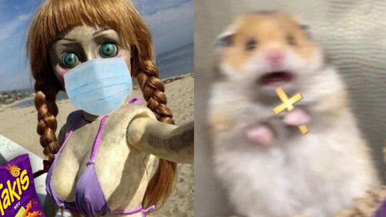 Internautas asocian la 'desaparición' de Annabelle con los inusuales hechos del 2020 (CAPTURA)