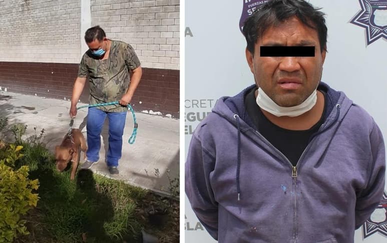 El can fue atendido por veterinarios del Departamento de Protección Animal de la Secretaría de Infraestructura y Servicios Públicos (ESPECIAL)