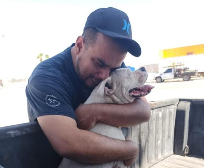 Las reacciones en el post ya superan las 100 mil, con miles de comentarios de apoyo y amor hacia su dueño. (Jesus Villelas Rivera/Facebook)