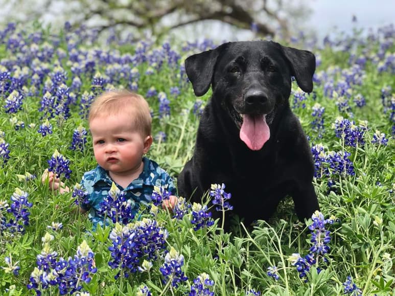 Si tu perro convive con niños regularmente, lo mejor será tener en mente algunas normas para evitar conflictos. (ESPECIAL)