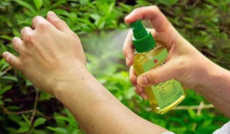 El repelente compuesto a base del árbol corymbia citriodora, es utilizado para repeler y evitar picaduras de insectos como los mosquitos (ESPECIAL)