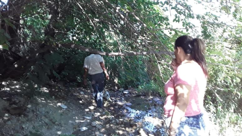 La Dirección de Protección Civil se mantiene en alerta ante los reiterados reportes de un oso negro que merodea por una colonia de la periferia de la ciudad, aunque no lo han visto ellos.