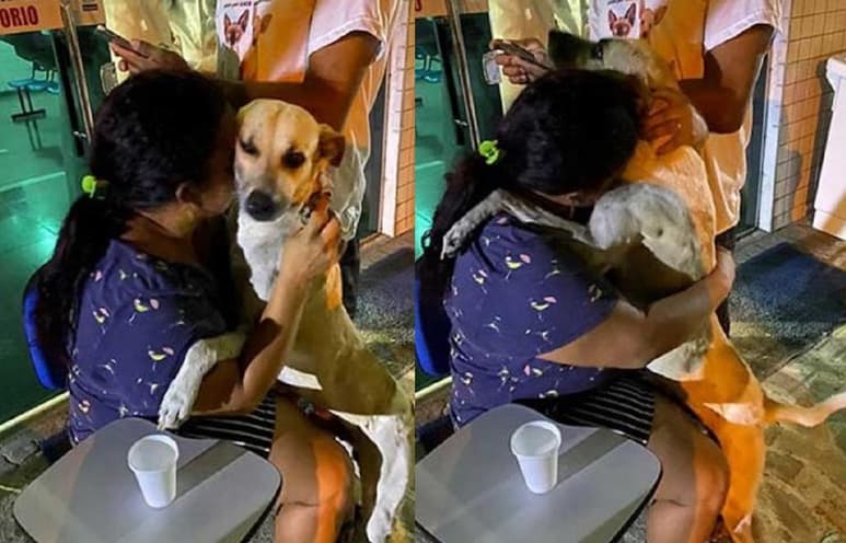 La mujer asegura que ha encontrado 'consuelo' en el perro tras la perdida de su madre (CAPTURA)