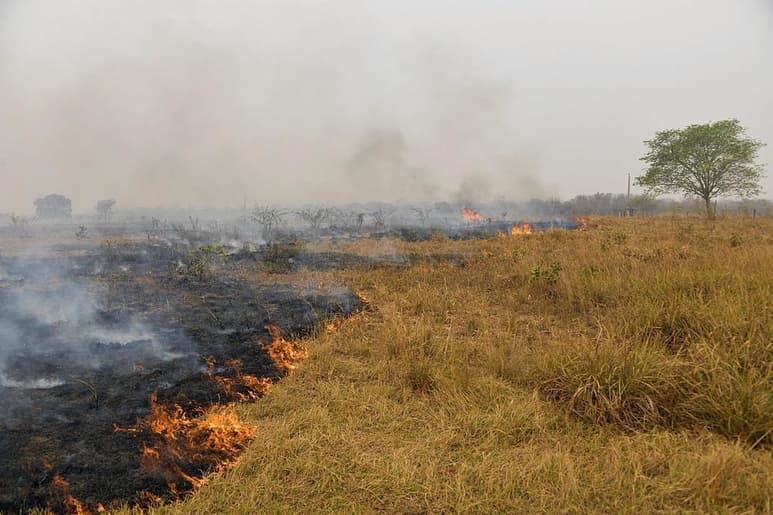 La Amazonía brasileña registró en agosto unos 30,000 focos de incendio, el segundo mayor número para el mes en 10 años, superado sólo en un 5 % por el del mismo periodo de 2019. (ARCHIVO)