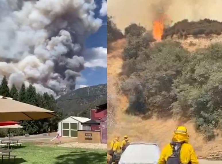 Pese a que la pareja intentó detener el fuego que había generado en las yerbas donde celebraban la revelación del bebé, éste no tardó en propagarse generando el incendio que se extendió hasta los 30 kilómetros cuadrados (CAPTURA)