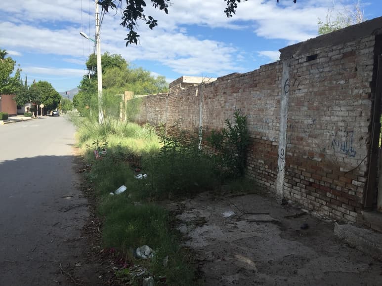 Los vecinos del Centro de Ciudad Lerdo denunciaron que estos lotes baldíos son generadores de plagas e impiden pasar por ahí.