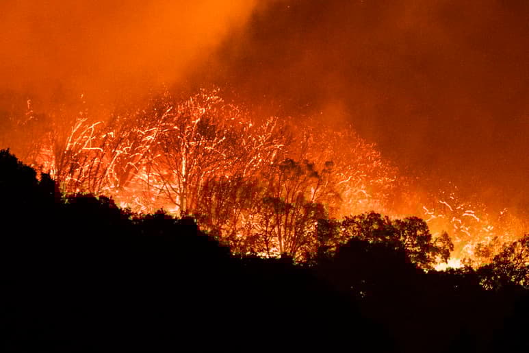 Los incendios forestales de California ahora toman días, no décadas, para propagarse con tal magnitud y producir daños tan graves que habrían sido un suceso único en la vida. (ARCHIVO)