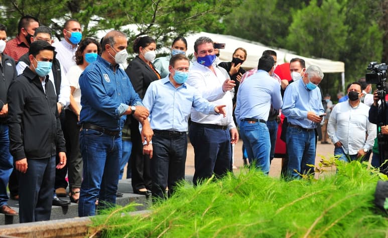 Repartirá gobernador 50 mil árboles entre los 39 municipios. (CORTESÍA)