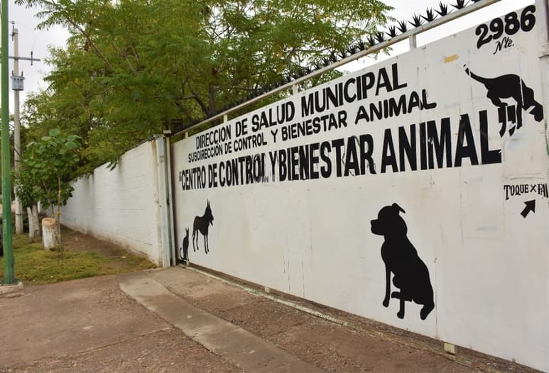 Para poder llevar a cabo las esterilizaciones, los dueños de mascotas deben agendar una cita.