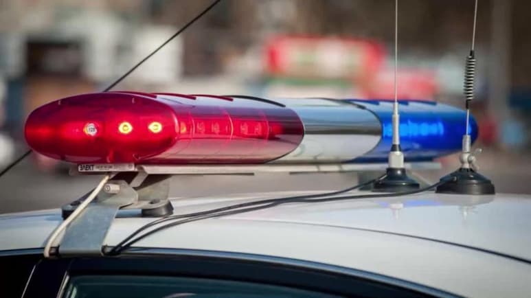 Un niño de 12 años que, según su madre, hace unos días había matado accidentalmente al perro de la familia de un disparo, fue detenido al descubrirse que había llevado a su escuela en el noreste de Florida tres armas de fuego, una de ellas cargada. (ESPECIAL)