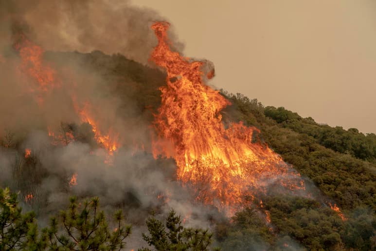 Casi medio millón de personas permanecen evacuadas en Oregón a causa de las decenas de incendios activos por toda la costa oeste de EUA, uno de los cuales avanza a gran velocidad hacia las afueras de Portland, la mayor ciudad del estado. (ARCHIVO)