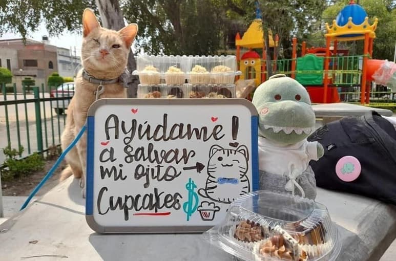 'Antonio' nació con microftalmia, padecimiento que podría llevarlo a perder su vista por completo (CAPTURA)