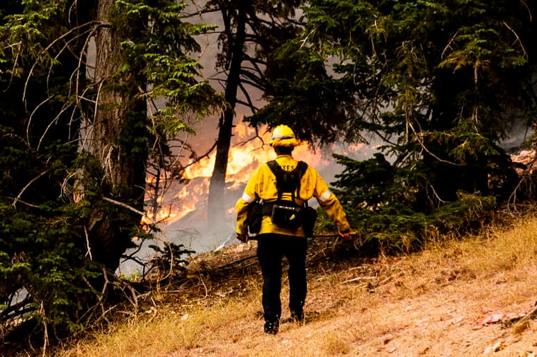 Una desgracia masiva vive Estados Unidos con los incendios forestales, ahora con personas desaparecidas. (EFE)