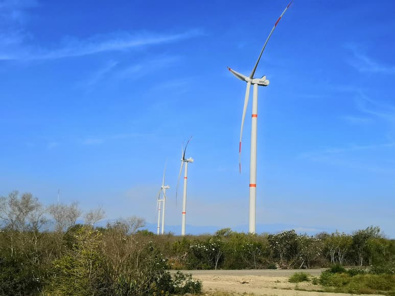 El Gobierno federal ha propuesto una reducción de 20 mil 615 millones de pesos al presupuesto destinado para la transición energética del país para el año próximo. (ARCHIVO)