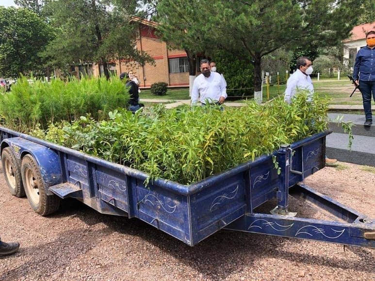 Hacen la invitación a los ciudadanos lerdenses a sumarse a las actividades que realiza Medio Ambiente.