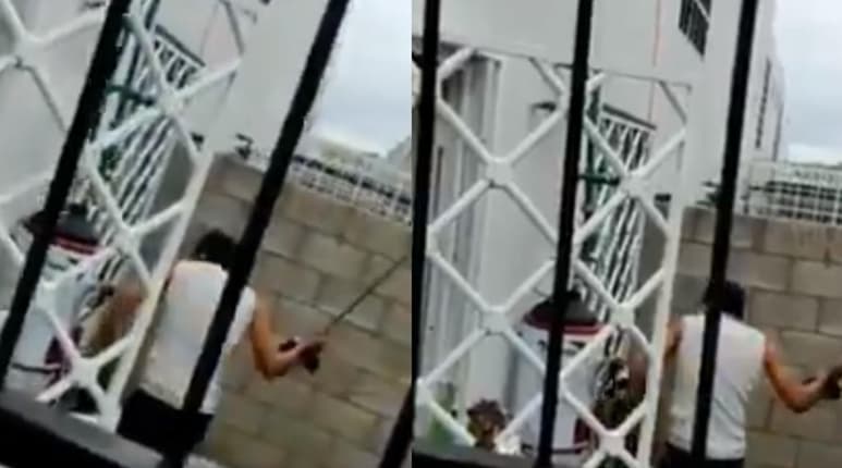 El sujeto ha sido señalado en redes sociales por cometer maltrato animal contra el can (CAPTURA)