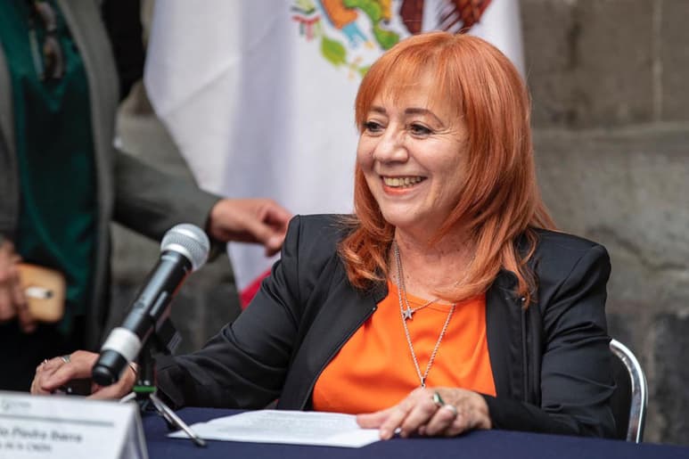 Dijo que hay una crisis en la CNDH y también cuestionó el proceso por el que fue electa y acusó que no cumple con los requisitos para estar ahí y adelantó que hay una definición de un juez que pidió reponer el procedimiento. (Archivo)