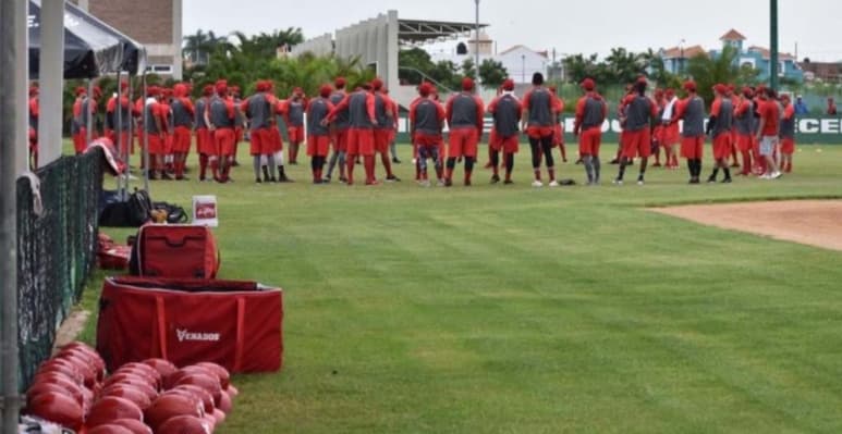 Con un arranque atípico debido a la Pandemia del COVID-19, pero con el objetivo puesto en el campeonato de la Liga Mexicana del Pacífico en su temporada 2020 – 2021. (ARCHIVO)