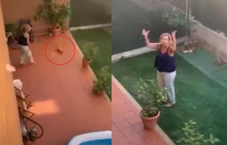 Una vecina captó el momento en el que la 'dueña del perro' arrojaba a éste contra el suelo (CAPTURA) 