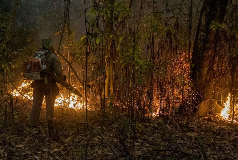 El Pantanal, mayor humedal del mundo y que Brasil comparte con Bolivia y Paraguay, terminará septiembre con número récord de incendios, que ya destruyeron el 22 % de su área, una tragedia que eleva la presión internacional sobre la cuestionada política ambiental del presidente Jair Bolsonaro. (ARCHIVO) 