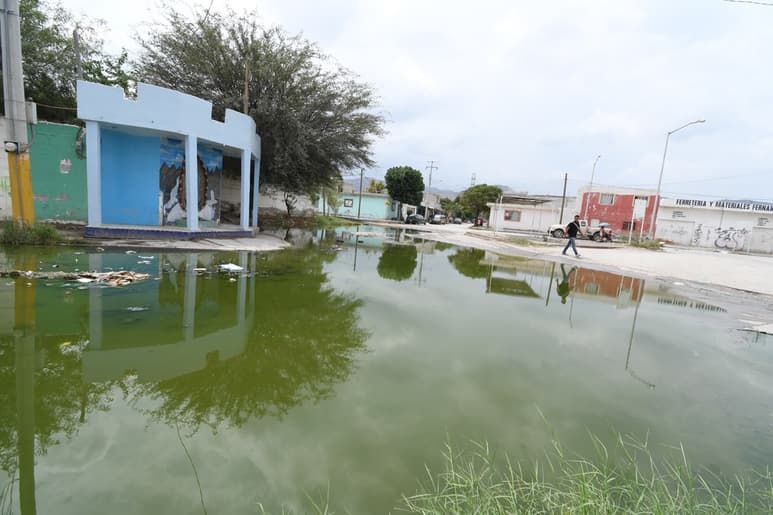 Las autoridades exhortan a la población a atender las medidas sanitarias para evitar la reproducción del mosco transmisor del dengue. (EL SIGLO DE TORREÓN)
