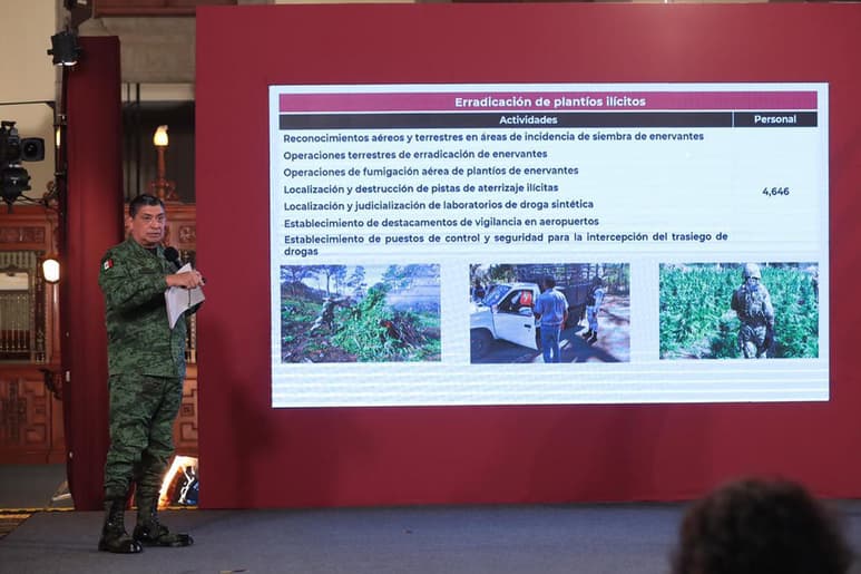 El general informó que en México no se han asegurado laboratorios de fentanilo, sino que hemos asegurado laboratorios donde se hacen las tabletas.
(EL UNIVERSAL)
