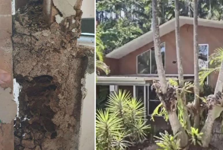 Los expertos les dijeron que no había otra más que tirar la casa y construir de nuevo. (INTERNET)