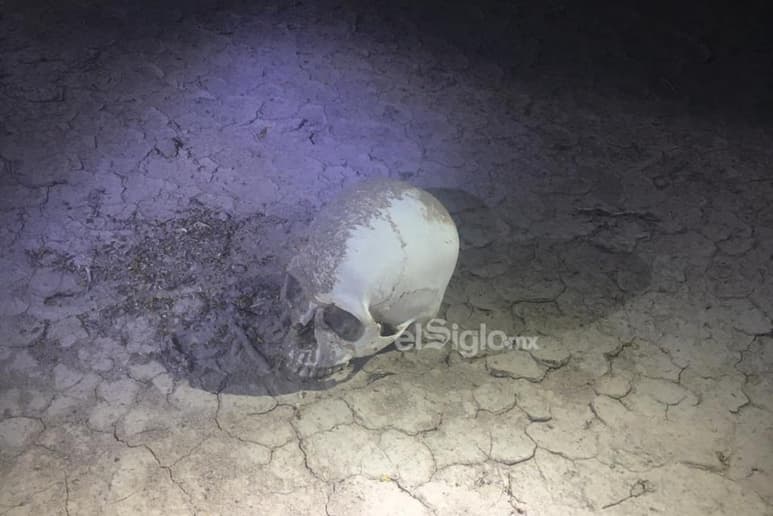 Aseguraron huesos, un cráneo, una mandíbula, además de que a un costado ubicaron un short de mezclilla, una camisa deportiva en color blanco y un tenis de la marca Pirma, también en color blanco, los cuales posiblemente pertenecían a la persona fallecida. (EL SIGLO DE TORREÓN)